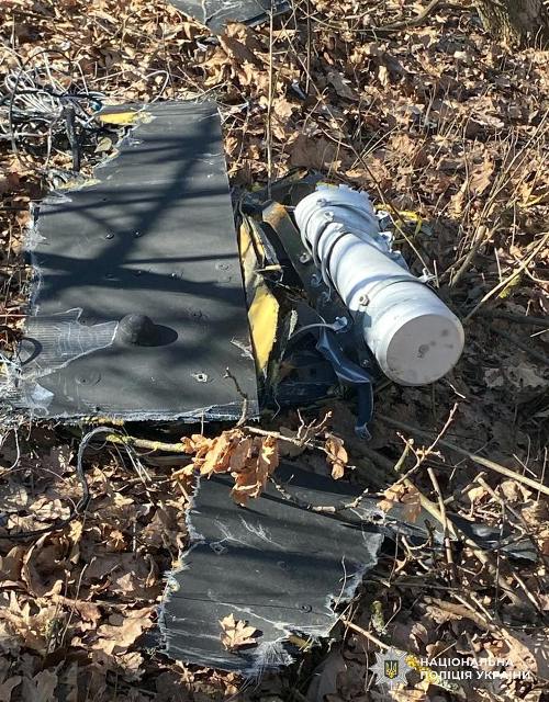 ������������� ������ ����������� �����������: ������� ����� ���������� ����������� ���