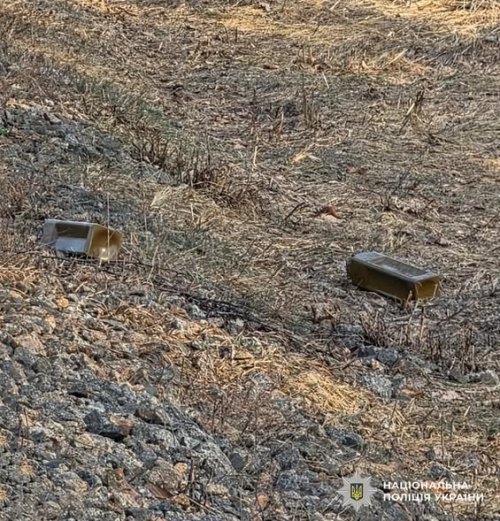 ������������� ������ ����������� �����������: ������� ����� ���������� ����������� ���