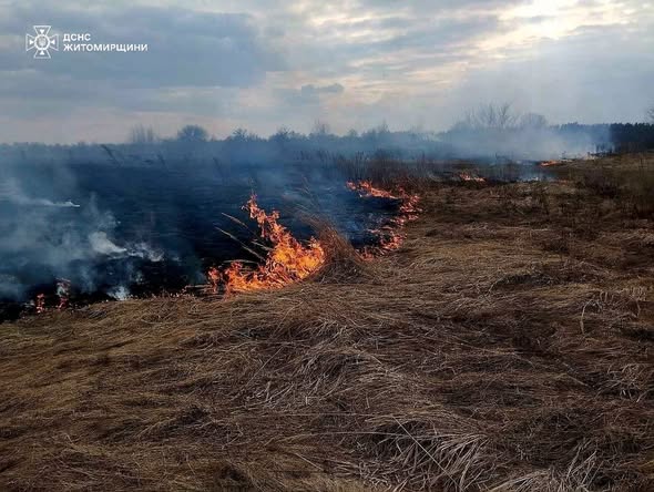 �� ����������� ������������ ��� ������� ����� � ��������� �����������