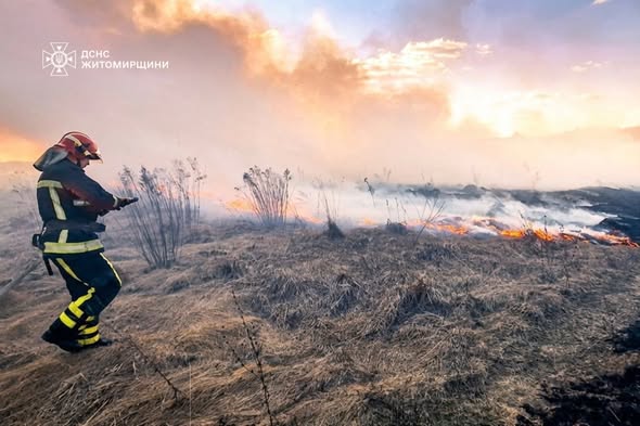 �� ����������� ������������ ����������� ����������� ����� � �����������