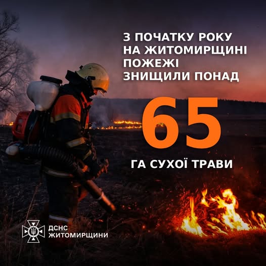 �� ����������� ����� 65 ������� ���� ����� ������� ������ �� ������� ����