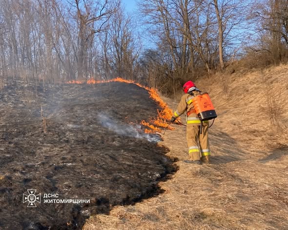 �� ����������� �� ���� ��������� 14 ����� � �����������