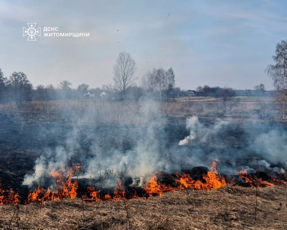 �� ����������� �� ���� ��������� 14 ����� � �����������