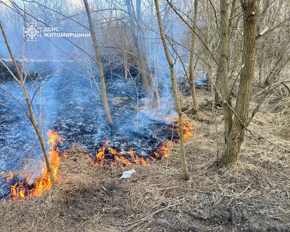 ������ ���� ������������ ����������� ��������� 22 ����� � ����������� ������