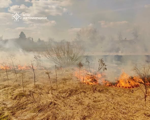 ������ ���� ������������ ����������� ��������� 22 ����� � ����������� ������