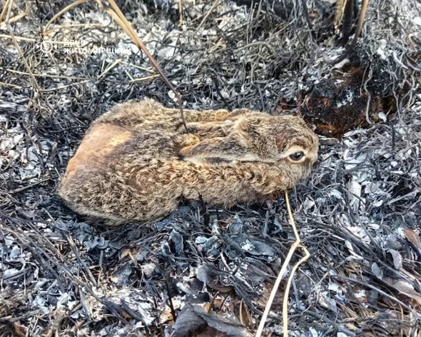 � ������������� ������ ������������  ��������� ������� �� ��� ����� ���� �����