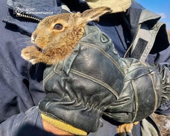 � ������������� ������ ������������  ��������� ������� �� ��� ����� ���� �����