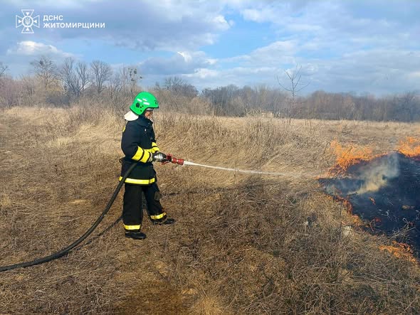 �� ���� � ����������� ������ ��������� 25 �������� ���� ����������