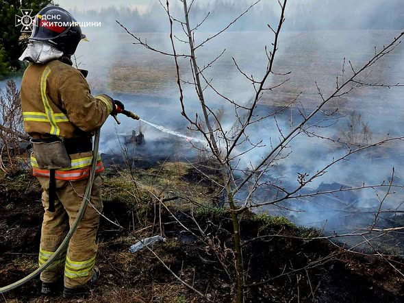 �� ���� � ����������� ������ ��������� 25 �������� ���� ����������