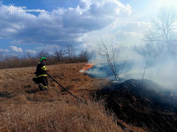 �� ���� � ����������� ������ ��������� 25 �������� ���� ����������