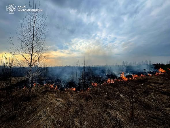 �� ���� � ����������� ������ ��������� 25 �������� ���� ����������