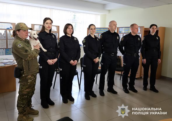 ������� ������� ��� ��������� � ���������: ��������� ����������� ���������� �� ����������