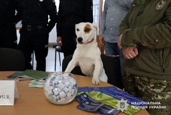 ������� ������� ��� ��������� � ���������: ��������� ����������� ���������� �� ����������