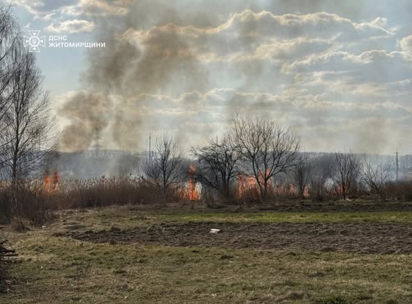 �������� ������ ���� �� ����������� ������������ ��������� 15 ����� �� �������� ���������