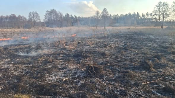 �������� ������ ���� �� ����������� ������������ ��������� 15 ����� �� �������� ���������