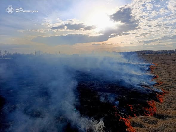 �� ����������� �������� ���� ������������ 29 ���� �������� �� ������ �������� ���� ����������