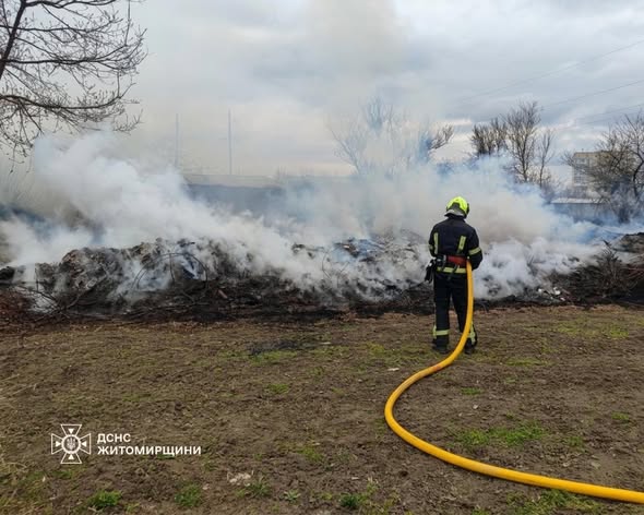 �� ������ ���� �� ����������� ���������� ��������� 20 ����� ���� ����������