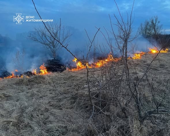 �� ������ ���� �� ����������� ���������� ��������� 20 ����� ���� ����������