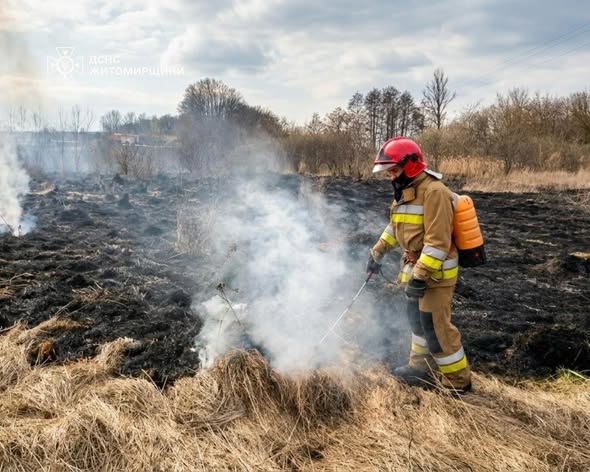 �� ������ ���� �� ����������� ���������� ��������� 20 ����� ���� ����������