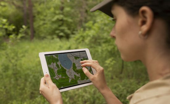 ������ ����������� ��������: �� ����������� ���������� ��������� ������������������ ������