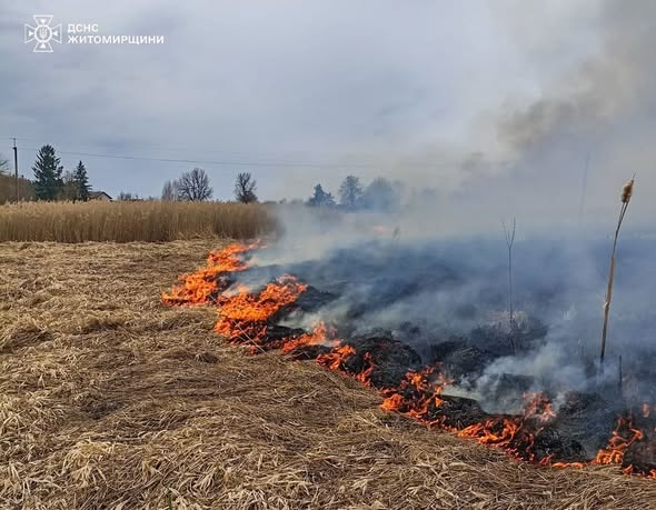 �� ����������� ����������� ����� ������� �� ���������