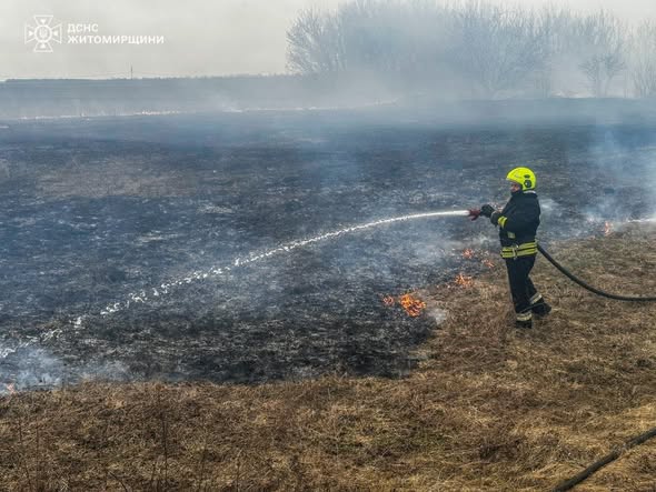 �� ����������� ����������� ����� ������� �� ���������