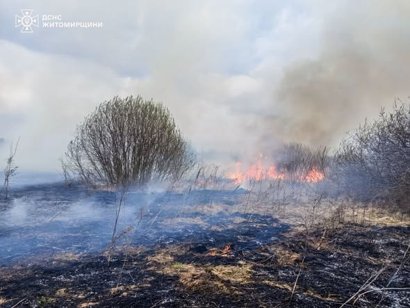 �� ����������� ����������� ����� ������� �� ���������