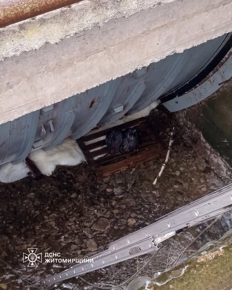 � �������������� ������ ������������ ��������� � ������ ���� �����