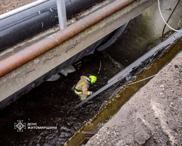 � �������������� ������ ������������ ��������� � ������ ���� �����