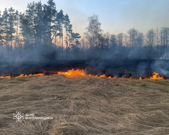 �� ����������� ������������ 17 ���� �������� �� ������ ����� � �����������