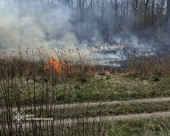 �� ����������� ������������ 17 ���� �������� �� ������ ����� � �����������