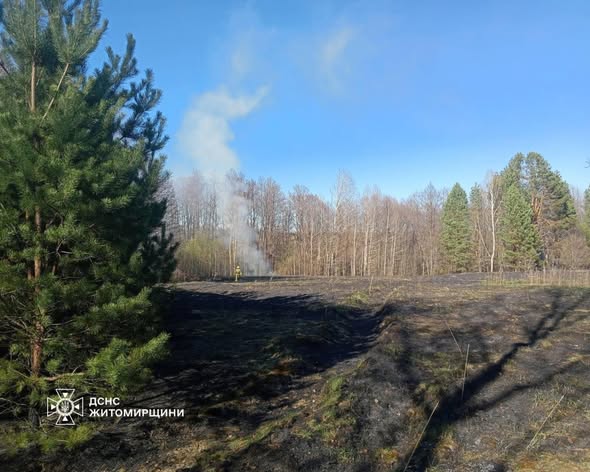 ������ ���� ����� �� ������������ ������� ������� ��������� ������� �� ���������� �������