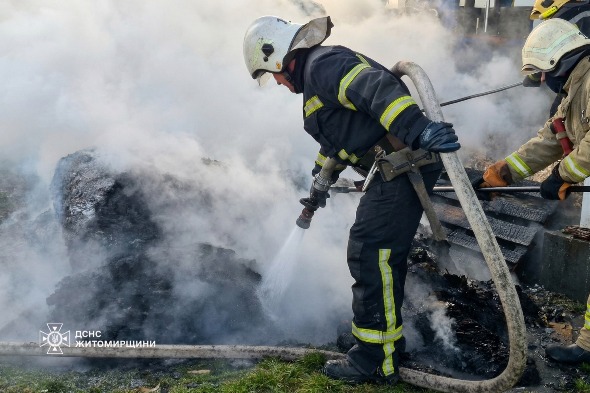 � ������� ������������ ��������� ������ �� ������� ����������