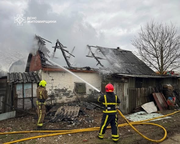 �������� ������ ���� �������� ���� ����������� 7 ���� �������� �� �������� �����