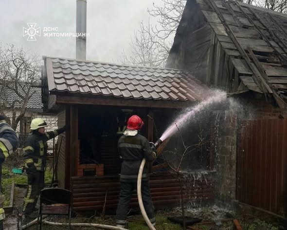 �������� ������ ���� �������� ���� ����������� 7 ���� �������� �� �������� �����