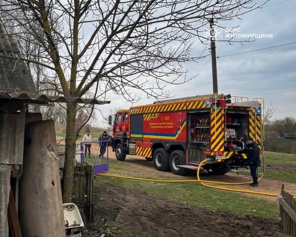 �������� ������ ���� �������� ���� ����������� 7 ���� �������� �� �������� �����