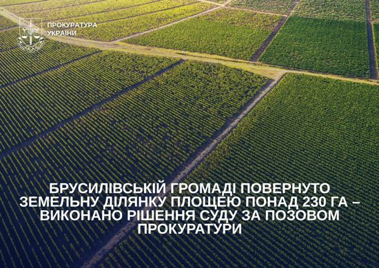 ����������� ������ ��������� �������� ������ ������ ����� 230 �� � �������� ������ ���� �� ������� �����������