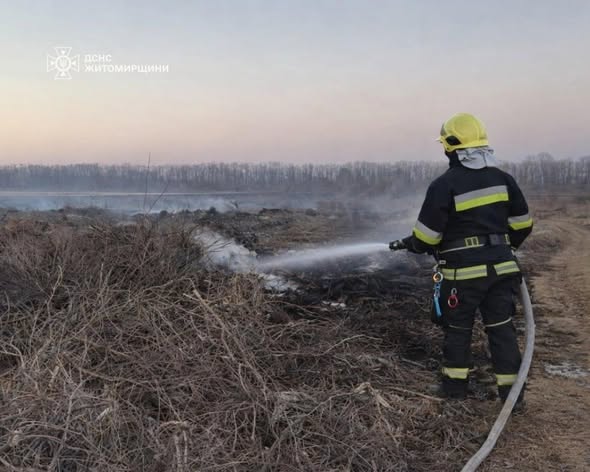 ����� ������������ ����������� 3 ���� ���������� �� ������ ����� �� �������� ���������