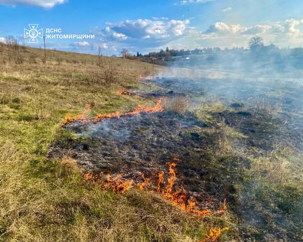 ����� ������������ ����������� 3 ���� ���������� �� ������ ����� �� �������� ���������