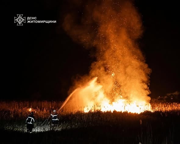 ����� ������������ ����������� 3 ���� ���������� �� ������ ����� �� �������� ���������