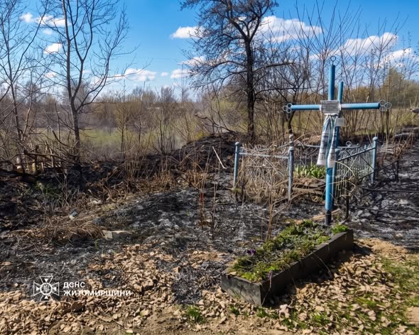 �� ������ ���� ������������ ����������� ������ ���� �������� �� ��������  �������� � �����������