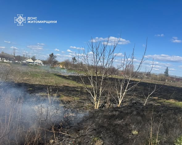 �� ������ ���� ������������ ����������� ������ ���� �������� �� ��������  �������� � �����������