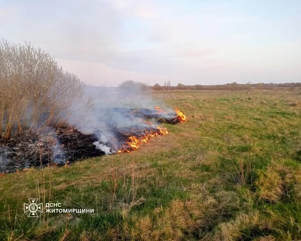 �� ������ ���� ������������ ����������� ������ ���� �������� �� ��������  �������� � �����������