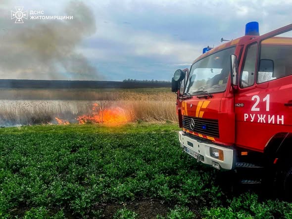 �������� ���� ������������ ����������� ��������� 14 �������� ���� ����������