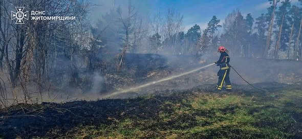 �������� ���� ������������ ����������� ��������� 14 �������� ���� ����������