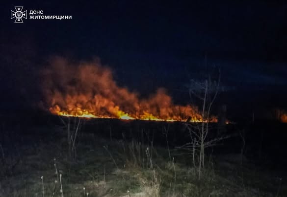 �������� ���� ������������ ����������� ��������� 14 �������� ���� ����������