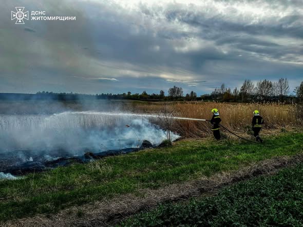 �������� ���� ������������ ����������� ��������� 14 �������� ���� ����������