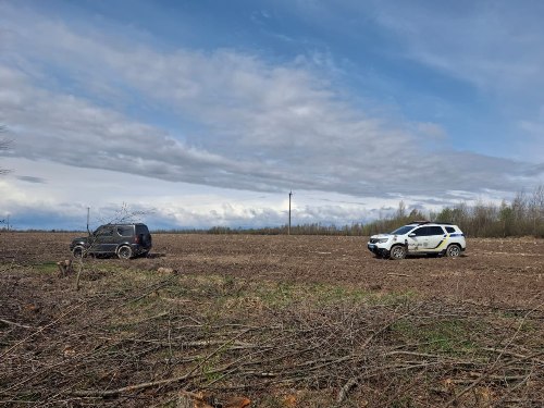 ����� 10 ��� ��� �����: �� ����������� ����������� ������ ��������� ������� 955 �