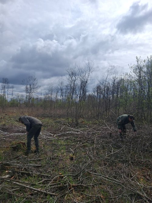 ����� 10 ��� ��� �����: �� ����������� ����������� ������ ��������� ������� 955 �