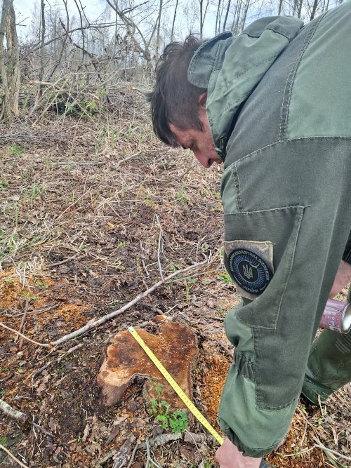 ����� 10 ��� ��� �����: �� ����������� ����������� ������ ��������� ������� 955 �